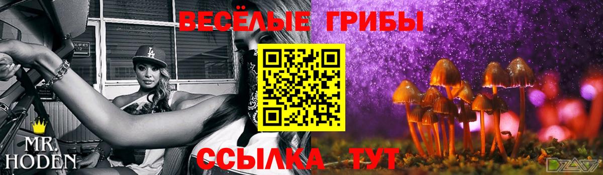 Галлюциногенные грибы GOLDEN TEACHER Киров
