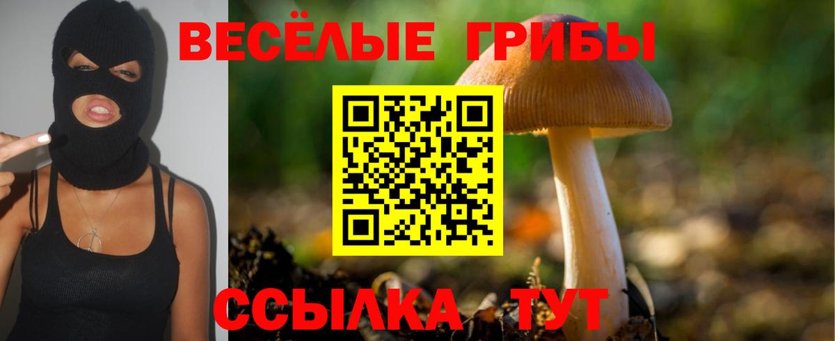 Псилоцибиновые грибы мицелий  Псилоцибиновые грибы мухоморы  Киров  Вход с VPN 